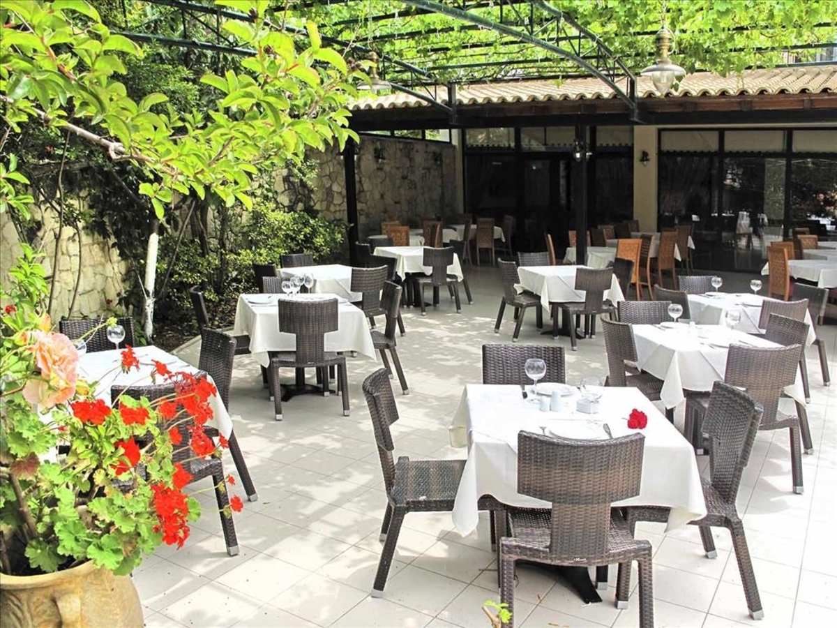 Lesse - закуски и вечери